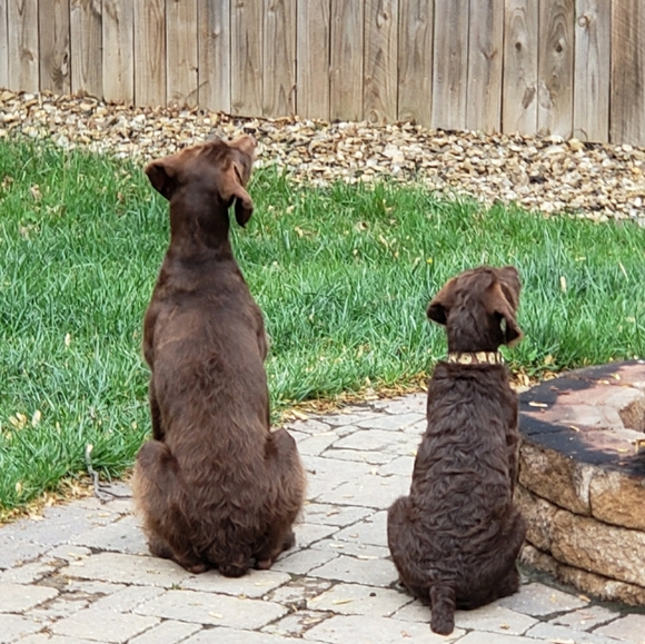 Meet your Posher, Crystal - Picture 10 of 15